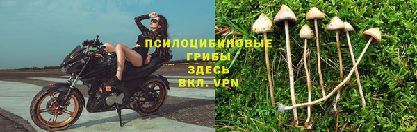 марки nbome Волоколамск