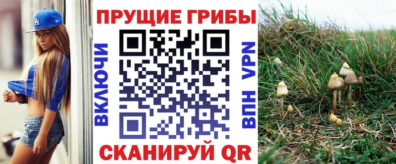 Купить закладки  Коряжма  Галлюциногенные грибы Psilocybine cubensis 
